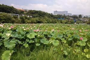 贵阳到天河潭、青岩古镇、花溪品质一日游|天河潭旅游攻略及价格