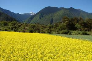 到最美的乡村去看油菜花【南京黄山婺源西递宏村6日】