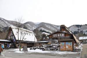 日本『花海美食』东京北海道薰衣草超豪6天