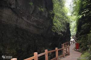 重庆养生休闲地黑山谷体验游|重庆的黑山谷、龙鳞石海二日游费用