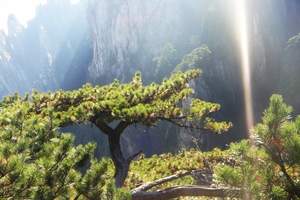 特价上海到黄山旅游_黄山 西海大峡谷半自助3日游-两晚住山上