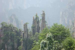 张家界全景精华四日游 天子山 袁家界 黄龙洞 宝峰湖 天门山