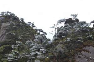 江西三清山精华二日游 三清山风景好看吗 住宿山上旅游团购