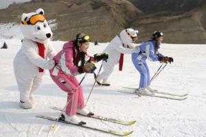 山西梅苑南山滑雪场