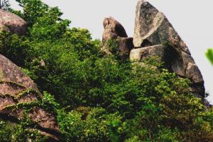 大同龙山